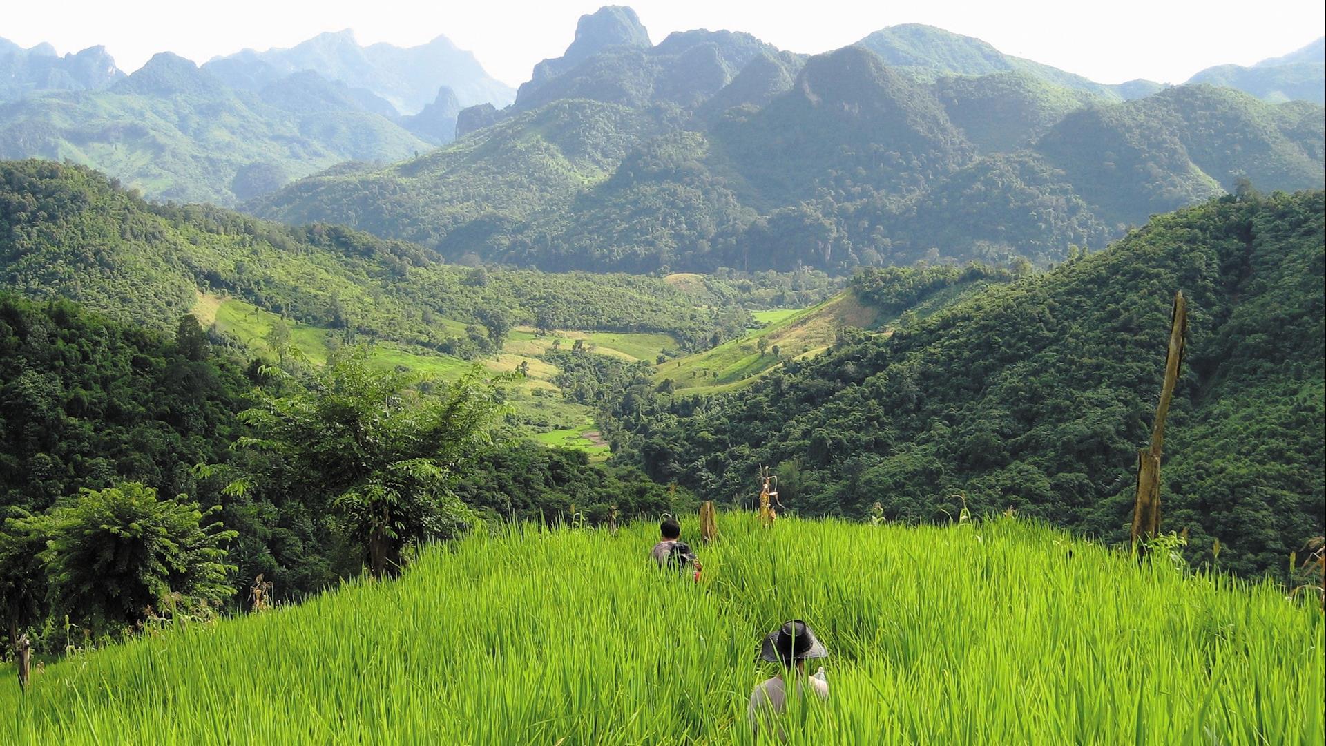 Event Calendar - July