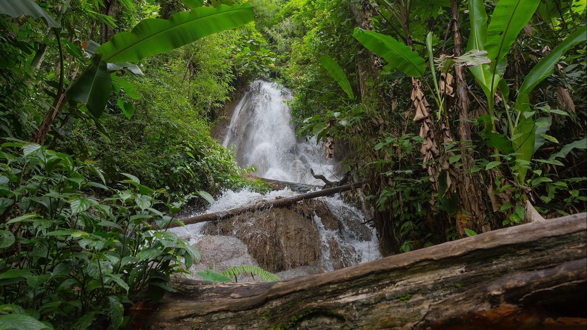 Laos, Houay Xai, Luang Prabang: Hilltribes & Jungles  -  10 days | immerse yourself in rural Laos