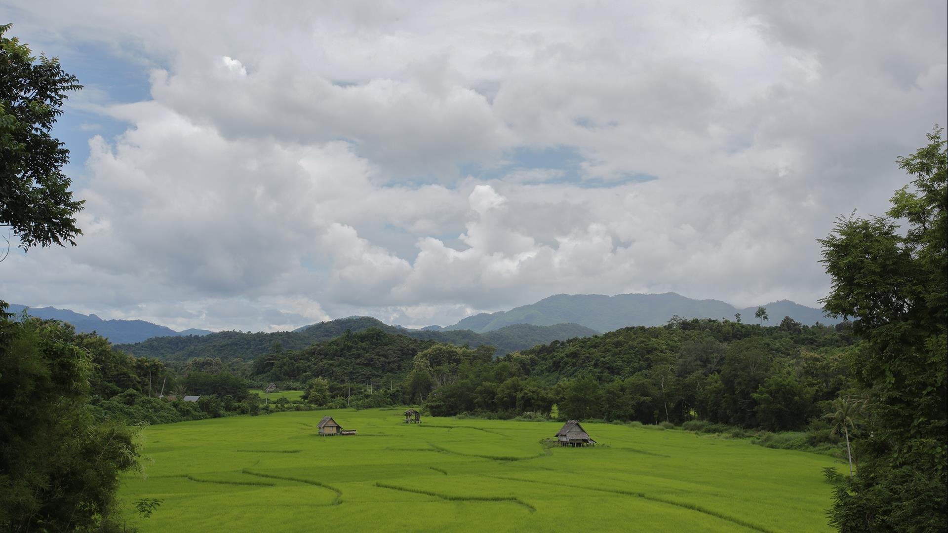 Laos, Luang Prabang : Biking & Trekking Countryside Adventure - 1 Day | The Road Under Your Wheels and Dirt Under Your Feet