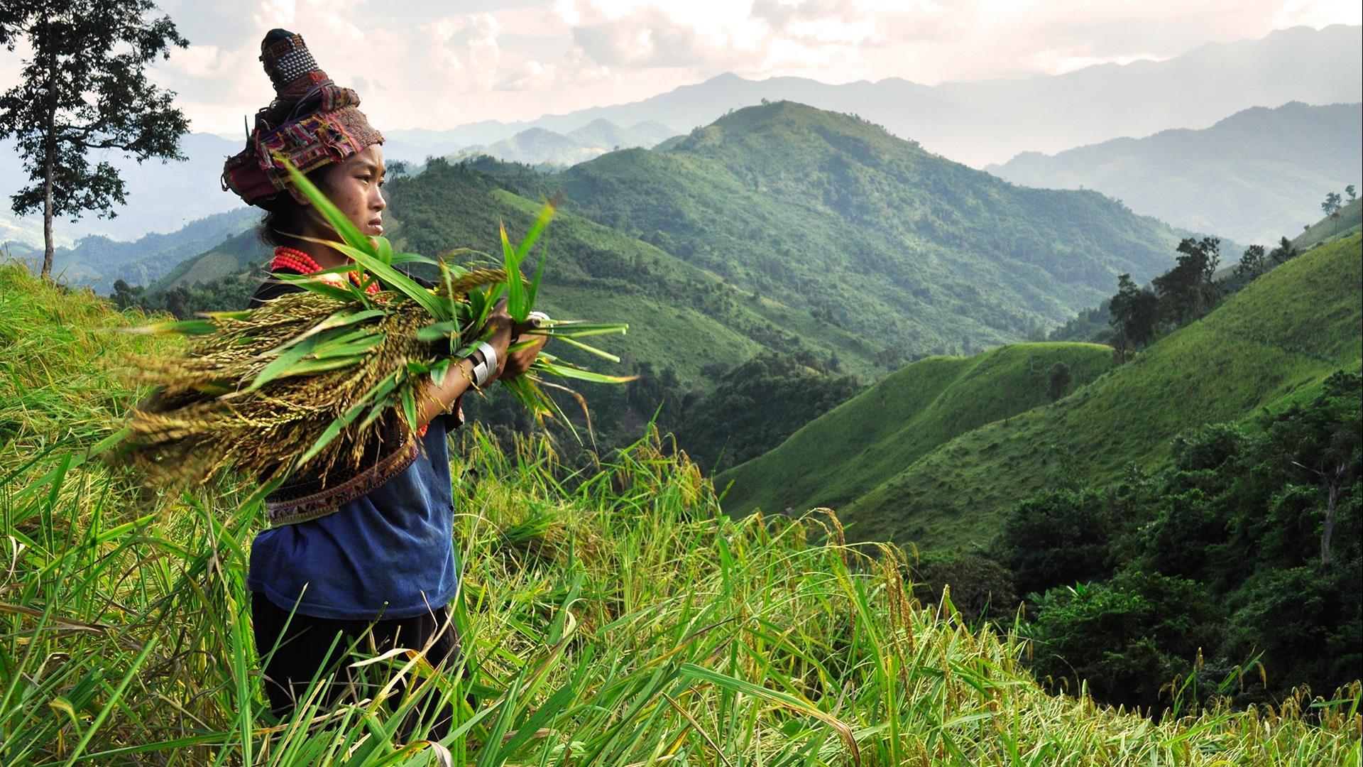 Laos, Boten, Nong Khiaw, Luang Prabang: Northern Laos in Style - 4 Days | Resorts and River views