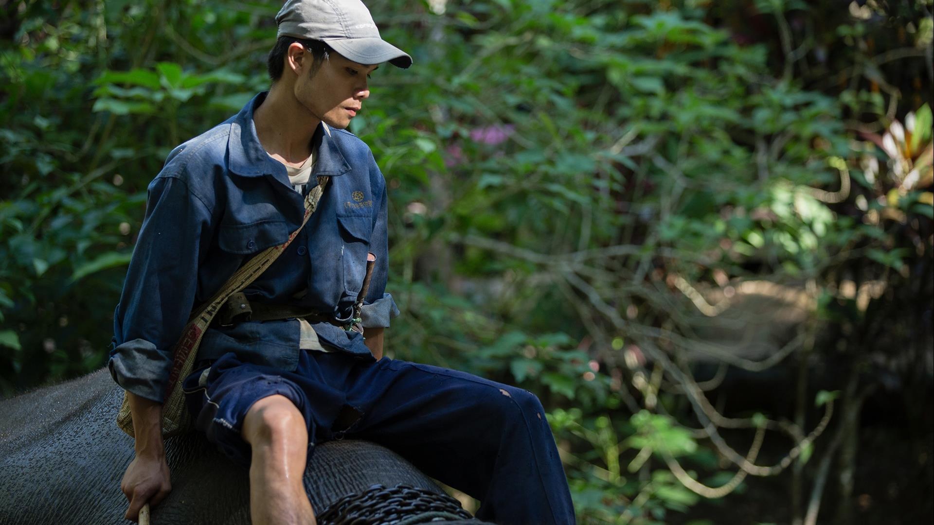 Laos, Luang Prabang : Shangri Lao Classic Explorer - 2 Days | Explore the Jungles by Elephant