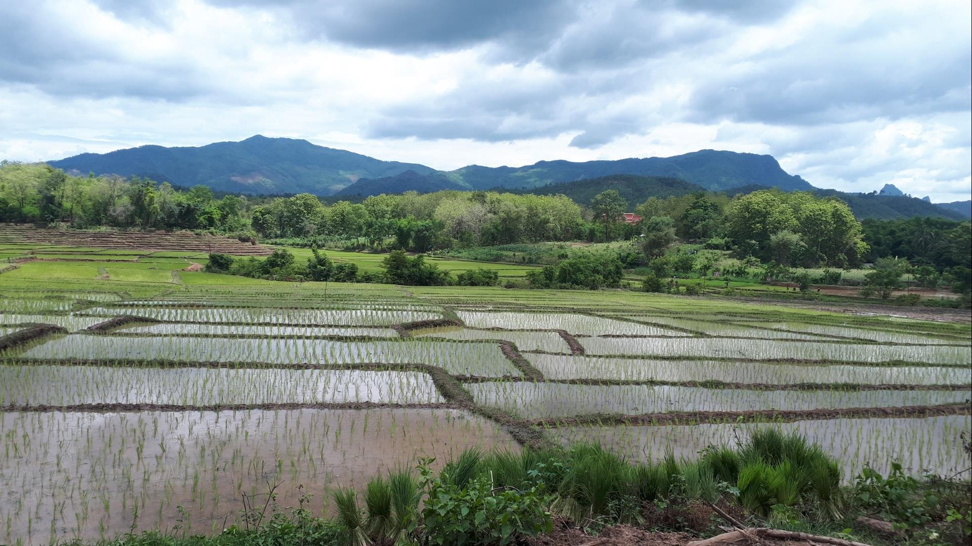 Laos, Luang Prabang : Single Dirt Track explorer - 1 Day | Off-Road Mountain Biking Across the Mekong