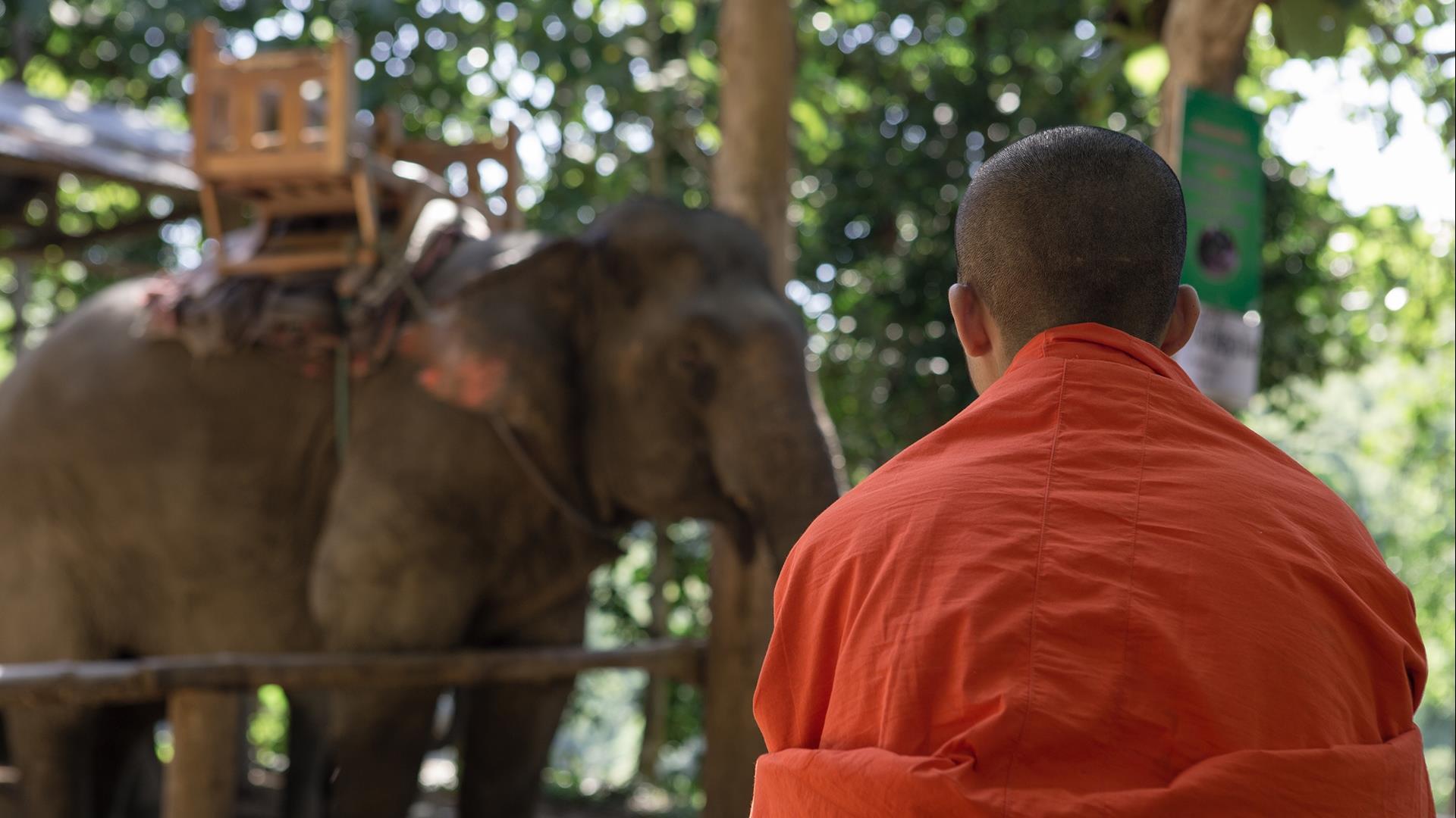 Laos, Luang Prabang: Trek, Kayak, Homestay & Elephant Combo Tour- 2 Days | An Active Exploration of the Nam Khan River Valley