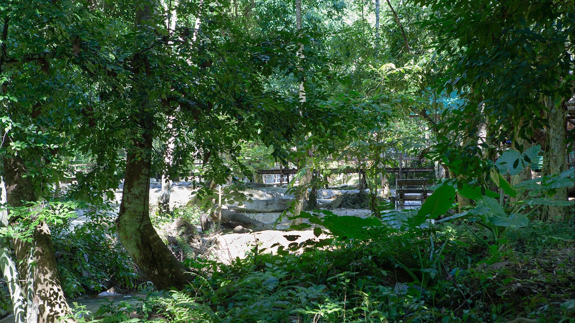 Laos, Luang Prabang : Elephant Experience, Kayaking & Tad Sae Waterfall - 1 Day | Venture into the Nam Khan River Valley