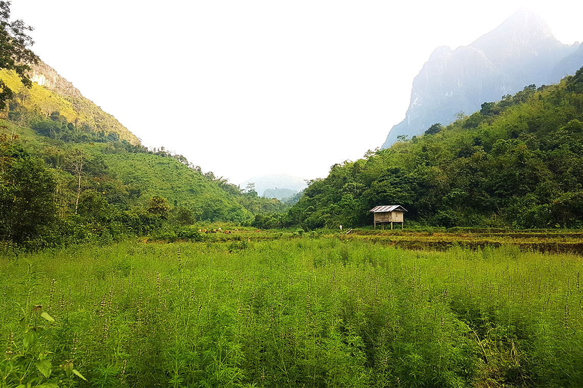 Walk through village farm land