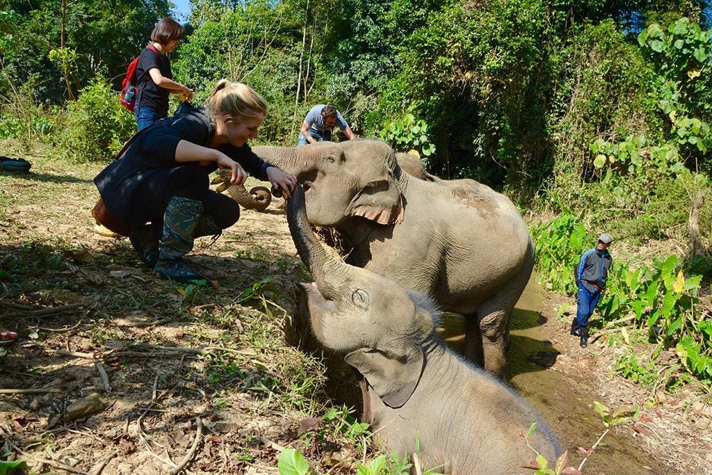 Mandalao Elephant Tour