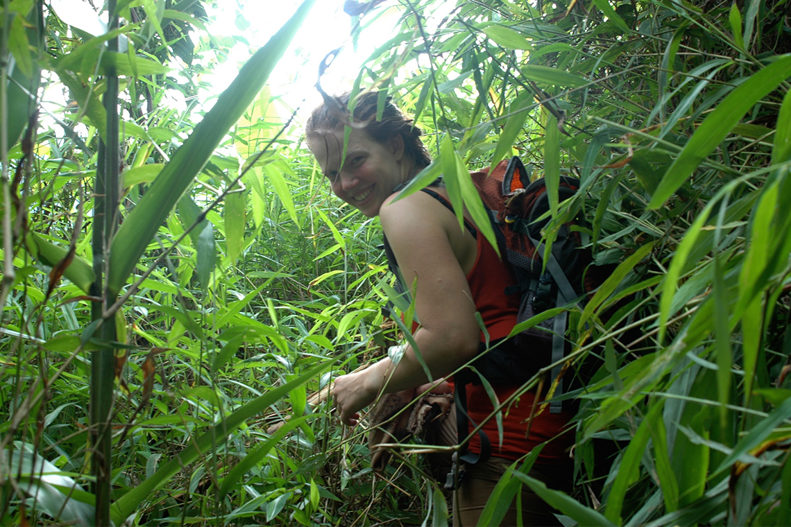 Walking through light jungle