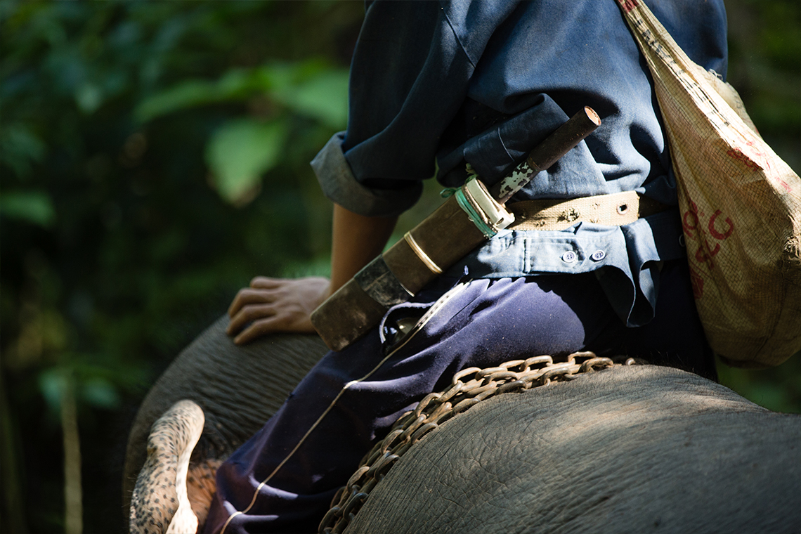 Tad Sae Elefant Riding