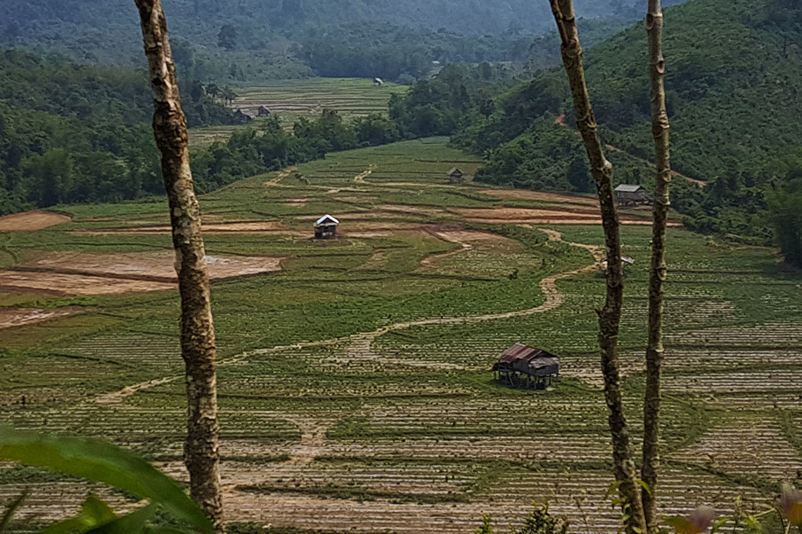 View from tractor trail over fields in dry season