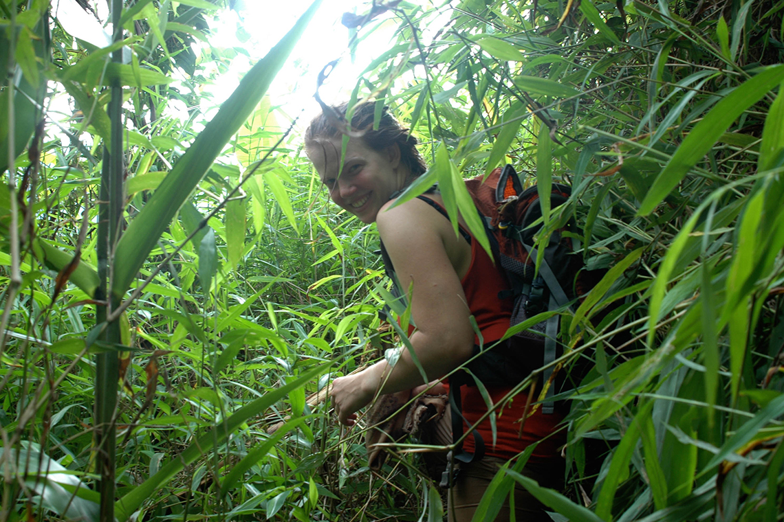 Walking through thick Plants