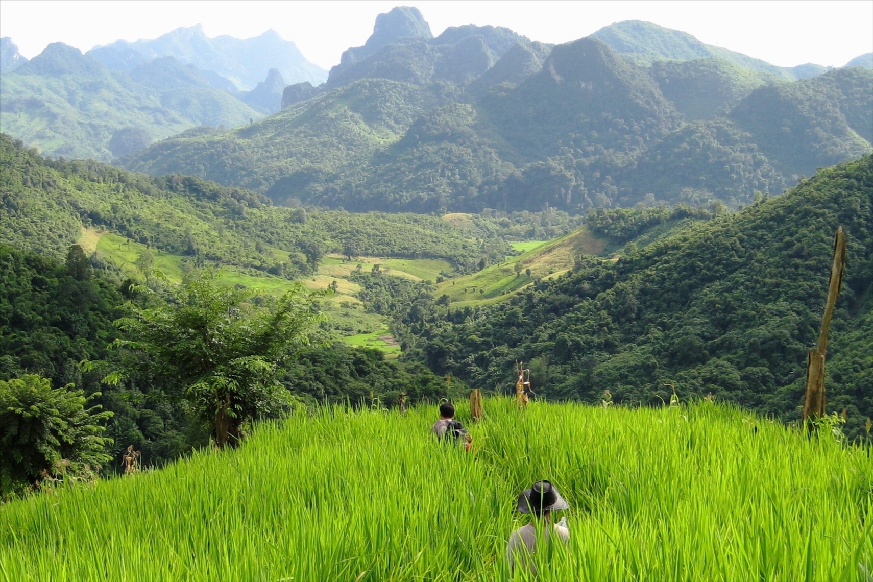 Northern Laos Landscape